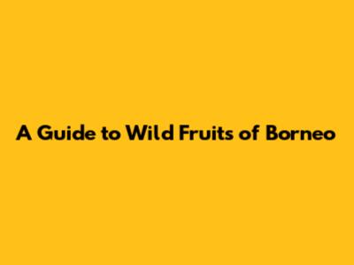 A Guide to Wild Fruits of Borneo