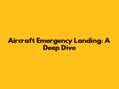 Aircraft Emergency Landing: A Deep Dive