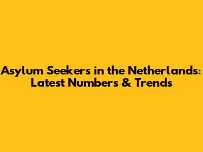 Asylum Seekers in the Netherlands: Latest Numbers & Trends
