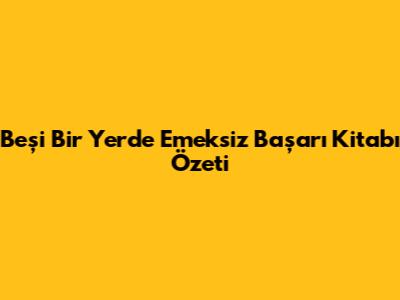Beşi Bir Yerde Emeksiz Başarı Kitabı Özeti