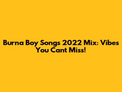 Burna Boy Songs 2022 Mix: Vibes You Can't Miss!