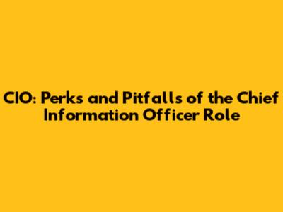 CIO: Perks and Pitfalls of the Chief Information Officer Role