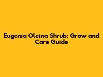 Eugenia Oleina Shrub: Grow and Care Guide