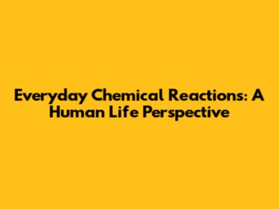 Everyday Chemical Reactions: A Human Life Perspective