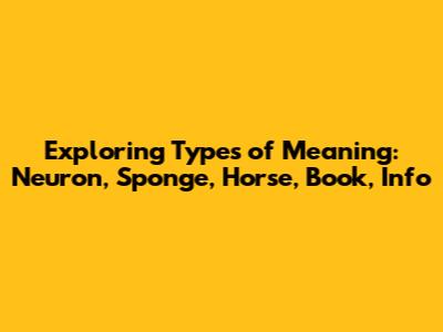 Exploring Types of Meaning: Neuron, Sponge, Horse, Book, Info