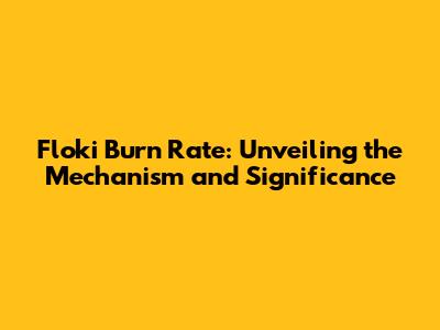 Floki Burn Rate: Unveiling the Mechanism and Significance