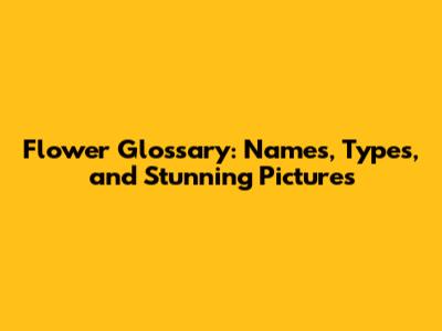 Flower Glossary: Names, Types, and Stunning Pictures