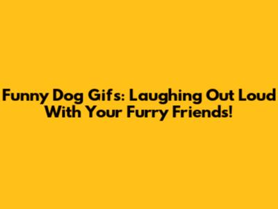 Funny Dog Gifs: Laughing Out Loud With Your Furry Friends!