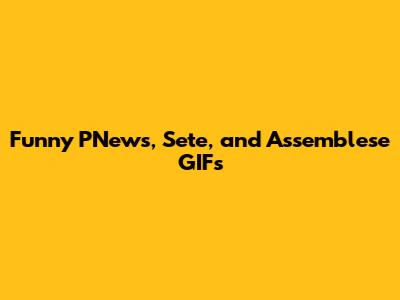 Funny PNews, Sete, and Assemblese GIFs
