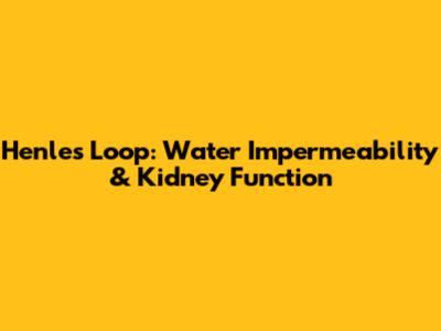 Henle's Loop: Water Impermeability & Kidney Function