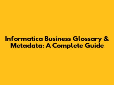 Informatica Business Glossary & Metadata: A Complete Guide