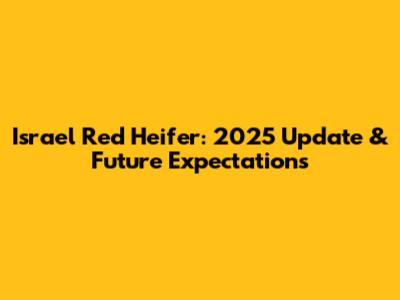 Israel Red Heifer: 2025 Update & Future Expectations