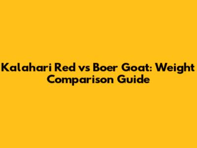 Kalahari Red vs Boer Goat: Weight Comparison Guide