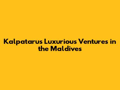 Kalpataru's Luxurious Ventures in the Maldives