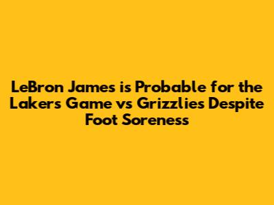 LeBron James is Probable for the Lakers Game vs Grizzlies Despite Foot Soreness