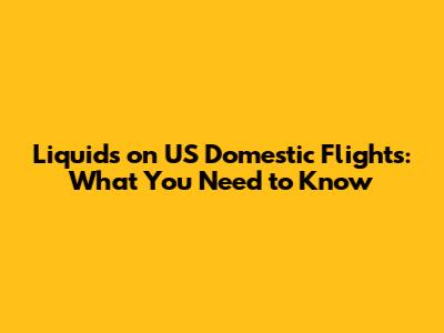 Liquids on US Domestic Flights: What You Need to Know