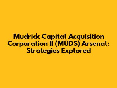 Mudrick Capital Acquisition Corporation II (MUDS) Arsenal: Strategies Explored