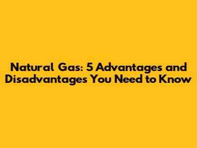 Natural Gas: 5 Advantages and Disadvantages You Need to Know