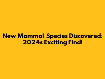 New Mammal Species Discovered: 2024's Exciting Find!