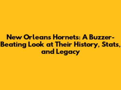 New Orleans Hornets: A Buzzer-Beating Look at Their History, Stats, and Legacy