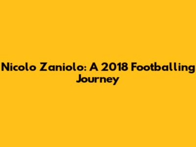 Nicolo Zaniolo: A 2018 Footballing Journey