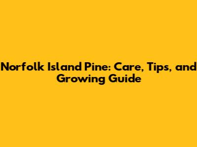 Norfolk Island Pine: Care, Tips, and Growing Guide