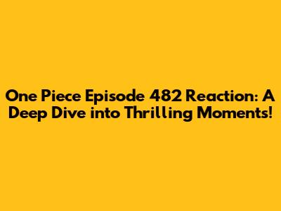 One Piece Episode 482 Reaction: A Deep Dive into Thrilling Moments!