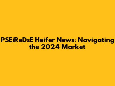 PSEiReDsE Heifer News: Navigating the 2024 Market