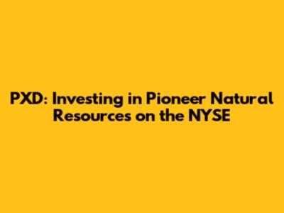 PXD: Investing in Pioneer Natural Resources on the NYSE