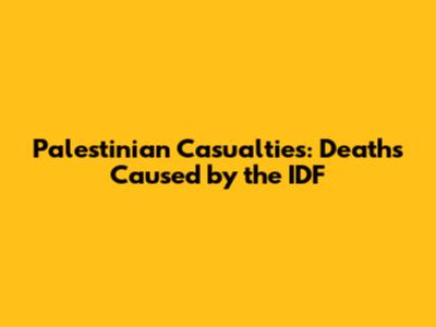 Palestinian Casualties: Deaths Caused by the IDF