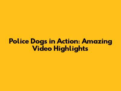 Police Dogs in Action: Amazing Video Highlights