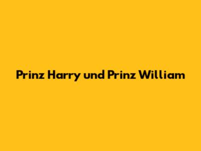 Prinz Harry und Prinz William