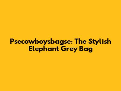 Psecowboysbagse: The Stylish Elephant Grey Bag