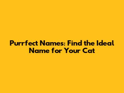 Purrfect Names: Find the Ideal Name for Your Cat