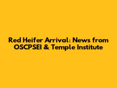 Red Heifer Arrival: News from OSCPSEI & Temple Institute