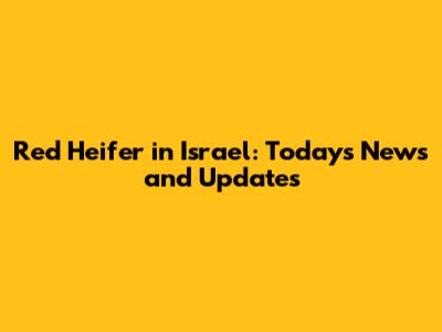 Red Heifer in Israel: Today's News and Updates