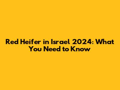 Red Heifer in Israel 2024: What You Need to Know