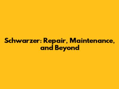 Schwarzer: Repair, Maintenance, and Beyond