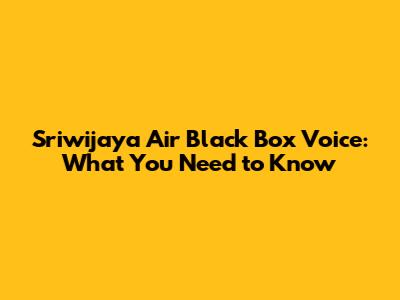 Sriwijaya Air Black Box Voice: What You Need to Know