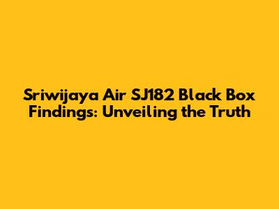 Sriwijaya Air SJ182 Black Box Findings: Unveiling the Truth