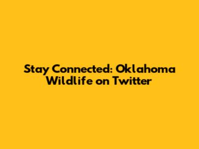 Stay Connected: Oklahoma Wildlife on Twitter