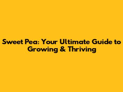 Sweet Pea: Your Ultimate Guide to Growing & Thriving