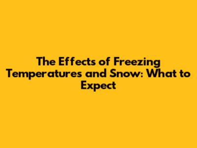 The Effects of Freezing Temperatures and Snow: What to Expect