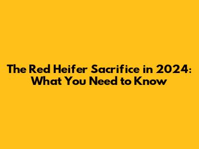 The Red Heifer Sacrifice in 2024: What You Need to Know