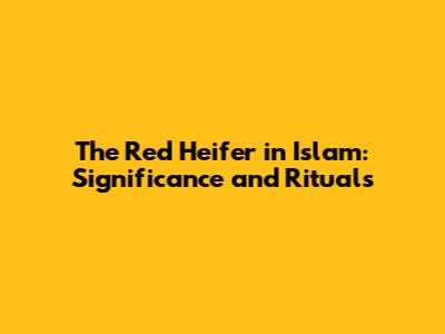 The Red Heifer in Islam: Significance and Rituals
