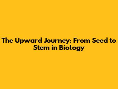The Upward Journey: From Seed to Stem in Biology