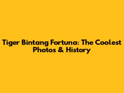 Tiger Bintang Fortuna: The Coolest Photos & History