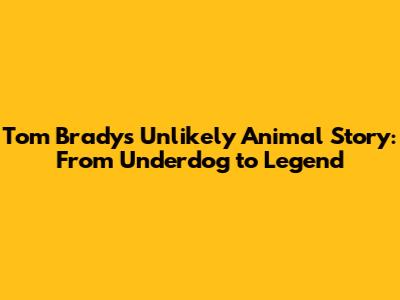 Tom Brady's Unlikely Animal Story: From Underdog to Legend