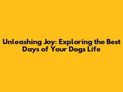 Unleashing Joy: Exploring the Best Days of Your Dog's Life
