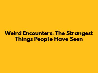 Weird Encounters: The Strangest Things People Have Seen
